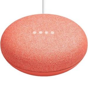 Google home mini - coral - willing to trade